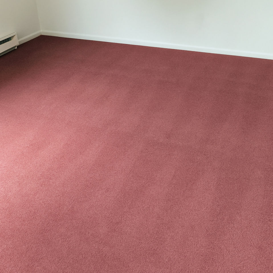 Carpet after deep hot-water extraction cleaning by MelaClean Malta